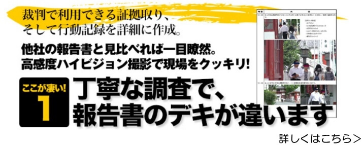 探偵　報告書　埼玉