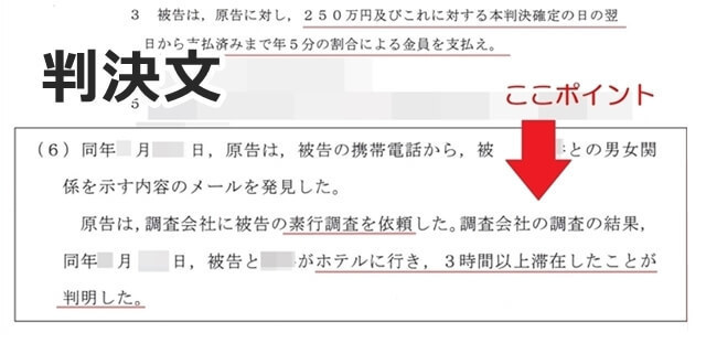 調査内容が記載された判決文