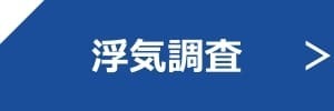 浮氣調査