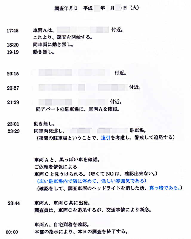 探偵業界有名最大手の文章のみの浮気調査報告書