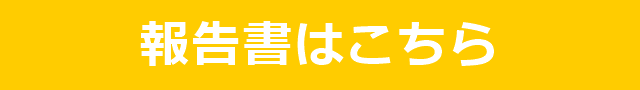 報告書.png