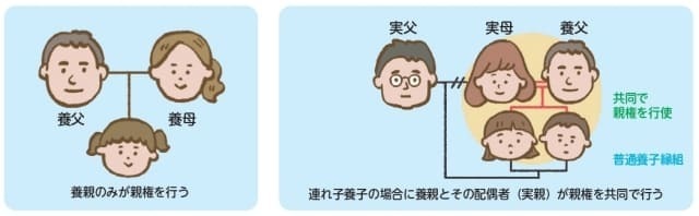 養子縁組後の親権者のイラスト