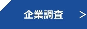 企業調査