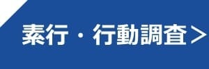 素行・行動調査
