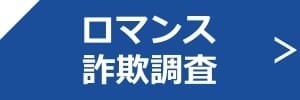 ロマンス詐欺調査