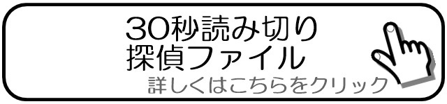 探偵ファイル探偵日記.jpg