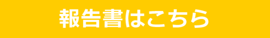 報告書.png